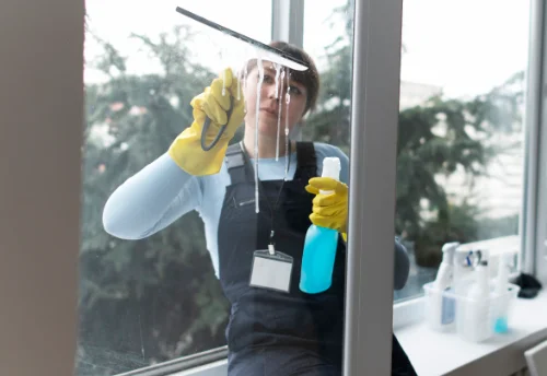 Nettoyage de vitres intérieures et extérieures à Pressac